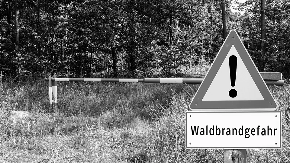 Aktuelles - Waldbrand